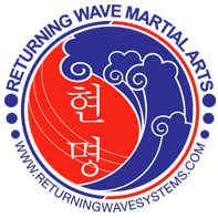 Returning Wave Systems | Richard Conceicao